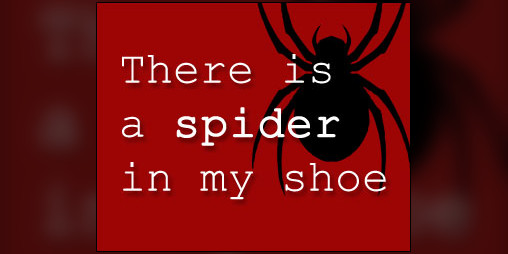 Cover image for There is a spider in my shoe.