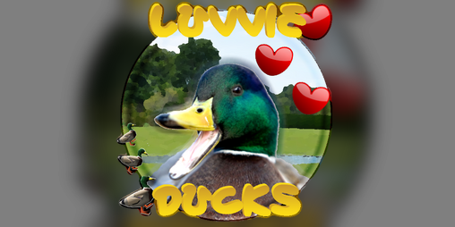 Cover image for Luvvie Ducks