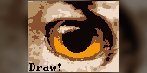 Cover image for Draw!