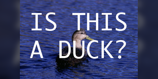 Cover image for Is This A Duck?