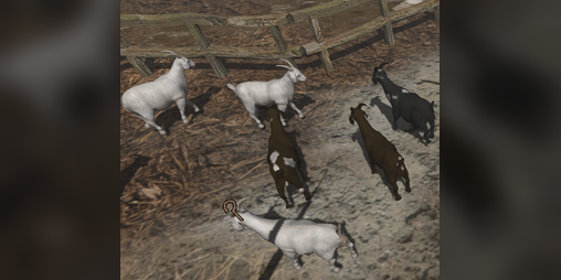Cover image for Goat Funnel