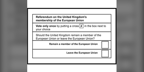 Cover image for Duckton Declares: The Referendum!