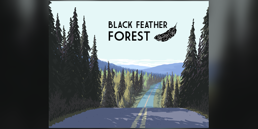 Cover image for Black Feather Forest