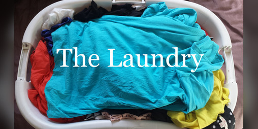 Cover image for The Laundry