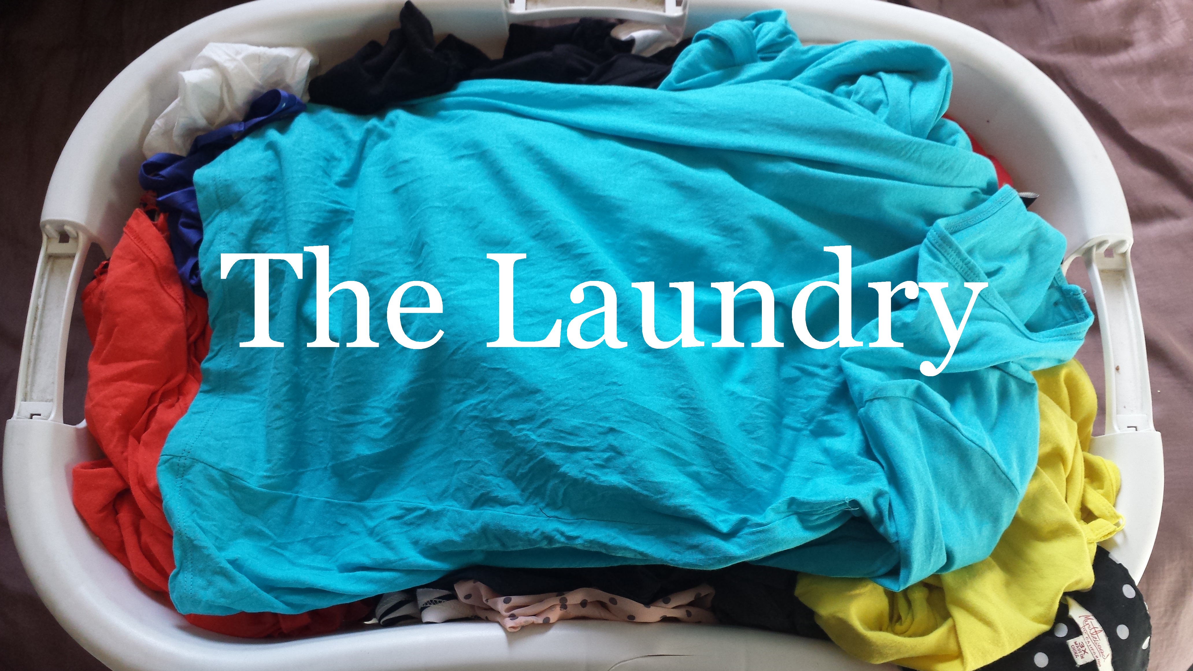 Cover image for The Laundry