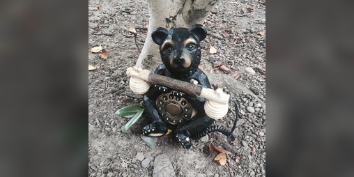 Cover image for A bear's phone