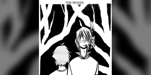 Cover image for The Woods