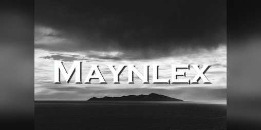 Cover image for Maynlex