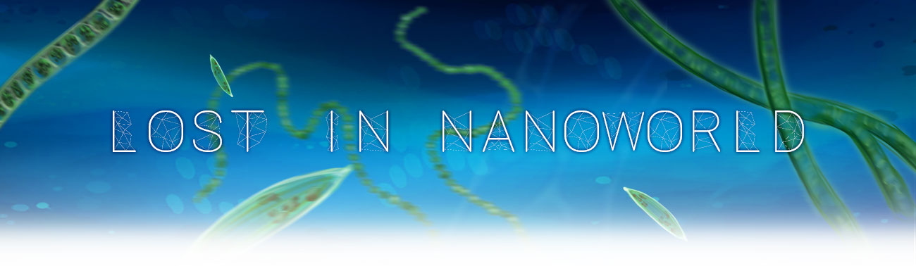 Lost In NanoWorld