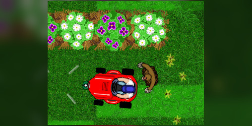 Cover image for Treacherous Lawns