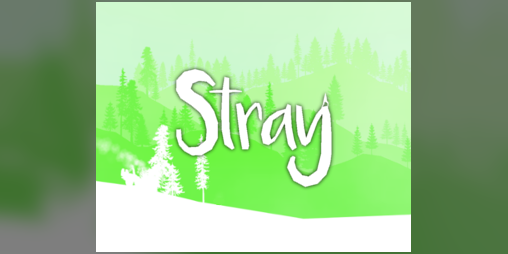 Cover image for Stray
