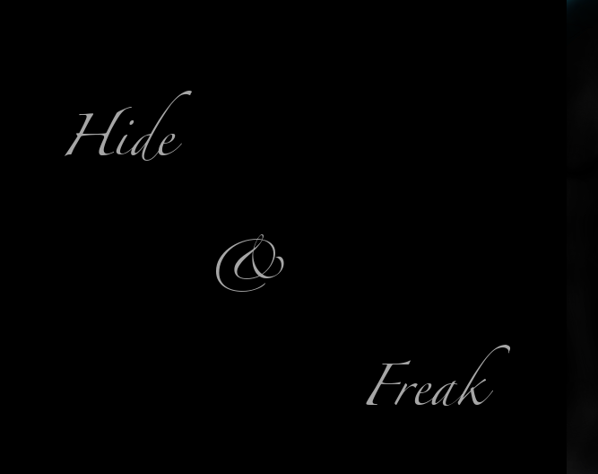 Cover image for Hide & Freak