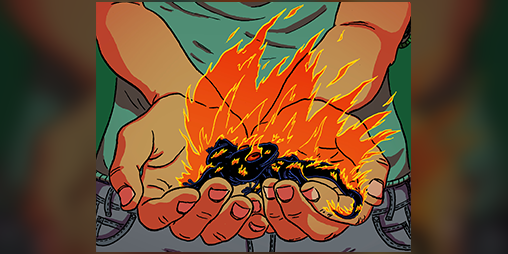 Cover image for Salamander