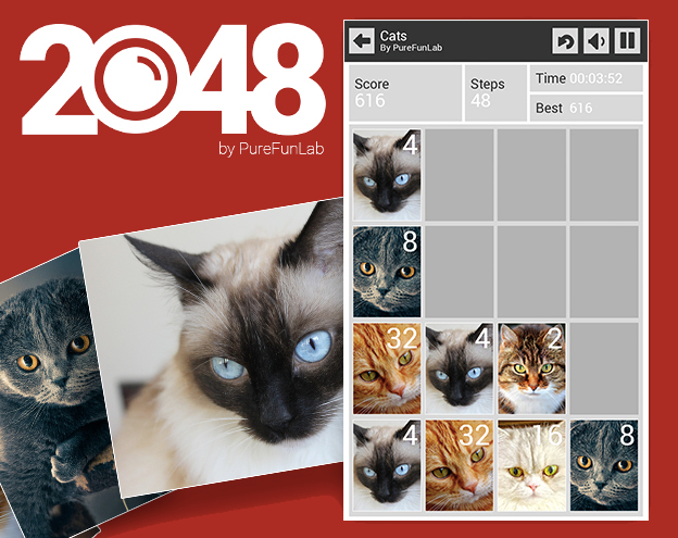 Faces 2048