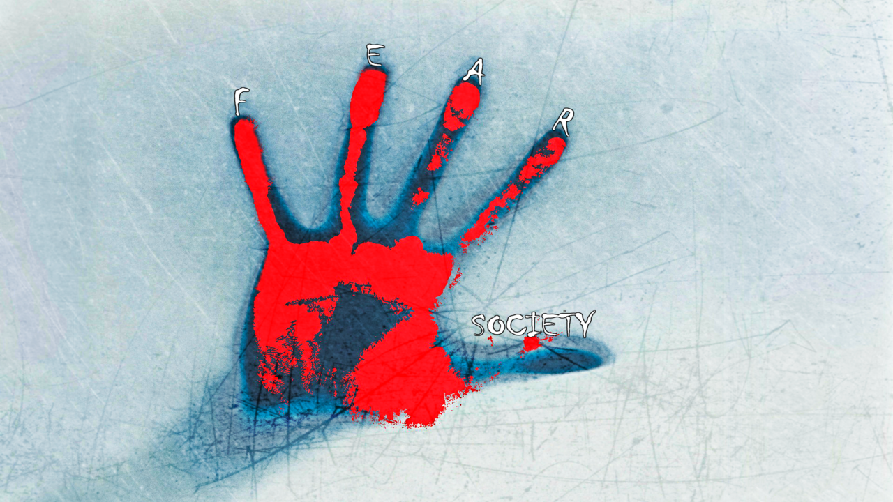 Cover image for Fear Society