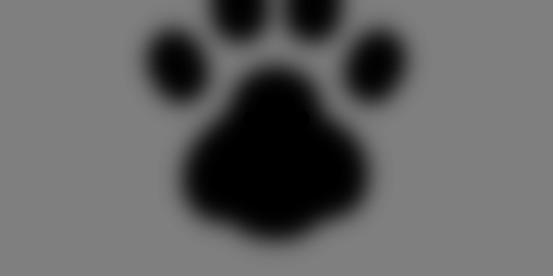 Cover image for Cat-O-Pult