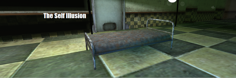 Cover image for The Self Illusion