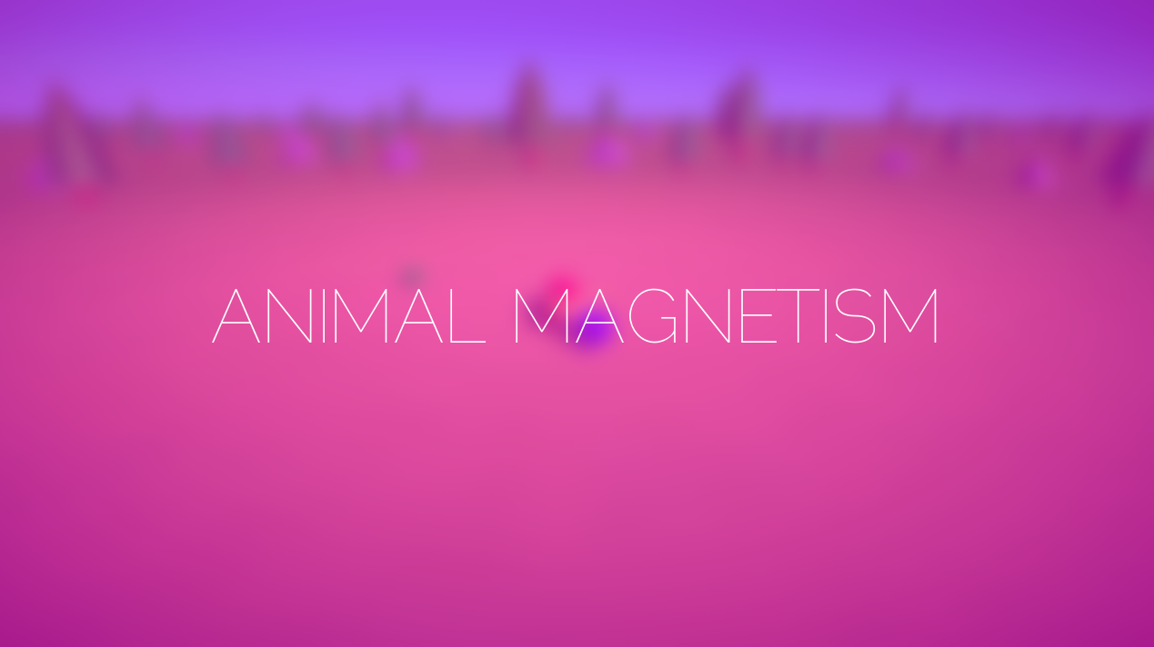 ANIMAL MAGNETISM by Lakupo for Toy Jam.