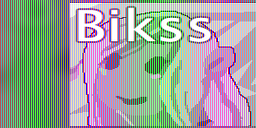 Cover image for Bikss
