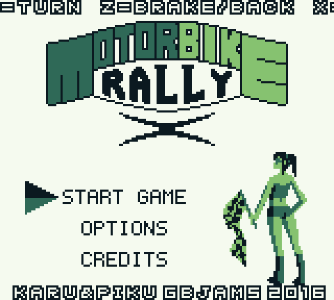 Motorbike Rally X