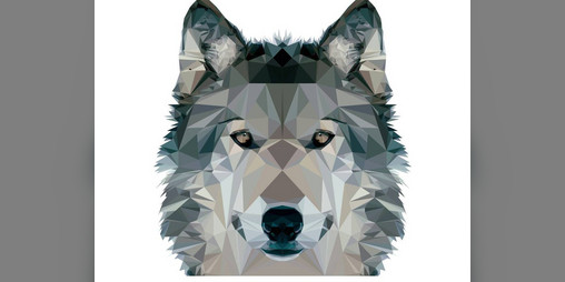 Cover image for Varg