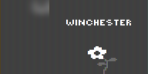 Cover image for Winchester