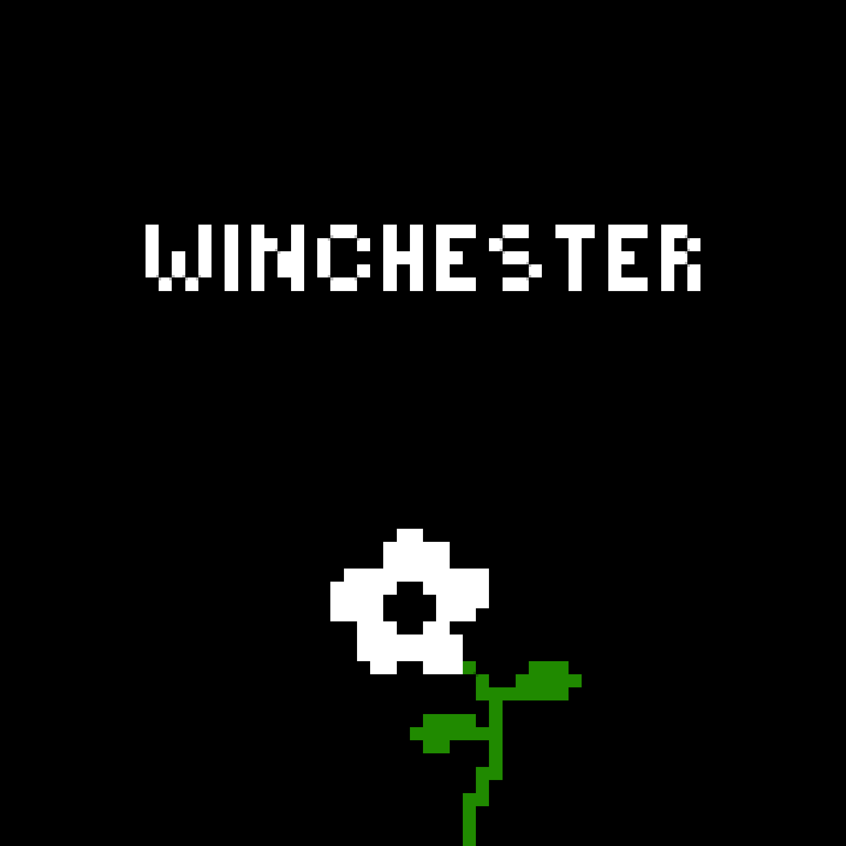 Cover image for Winchester