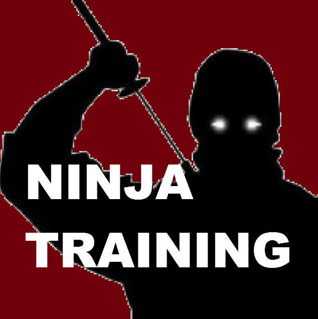 Ninja Training