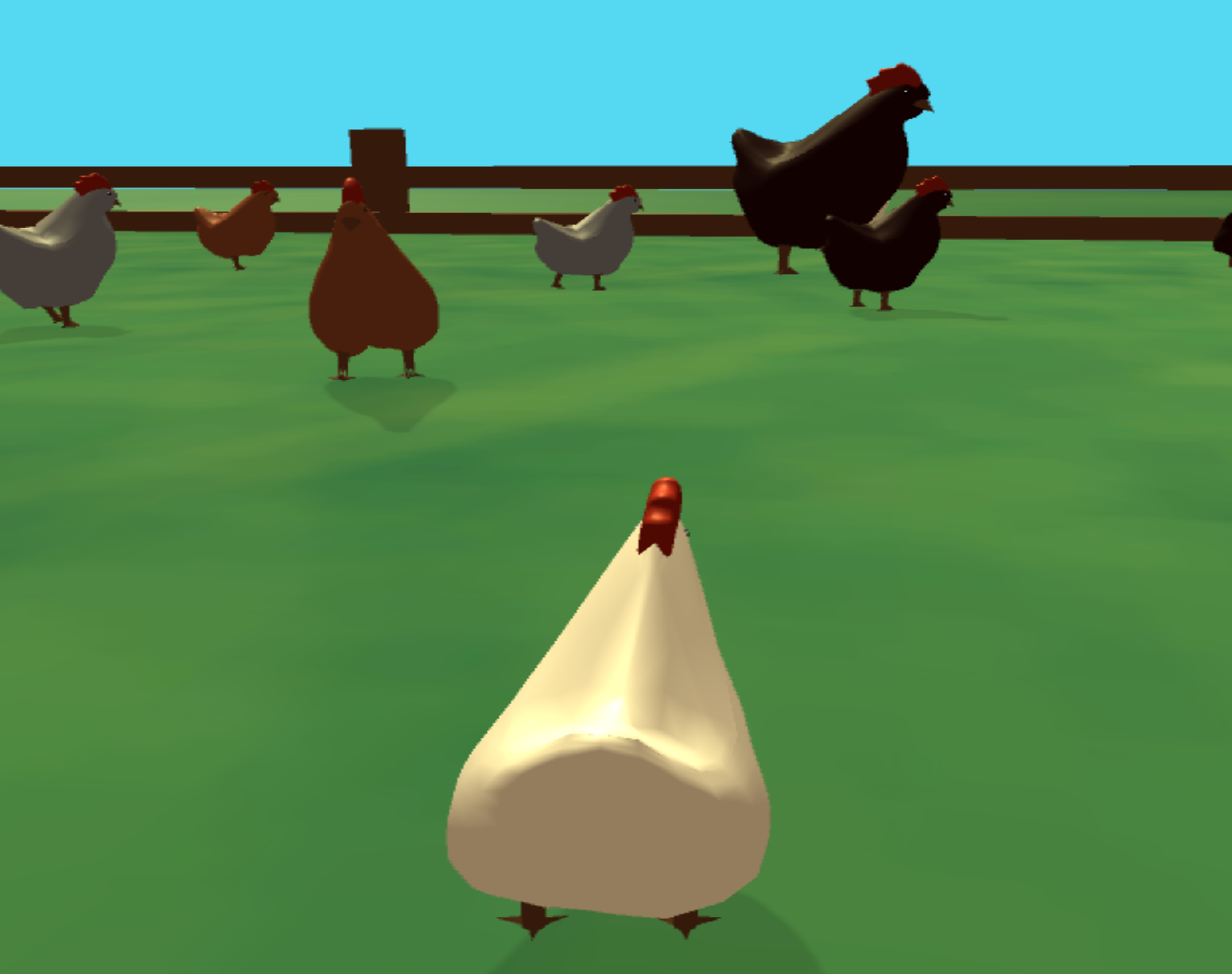 Chicken