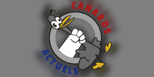 Cover image for Canards actuels