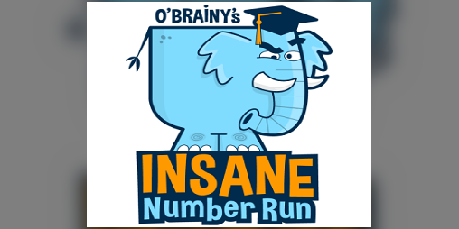 Cover image for Insane Number Run
