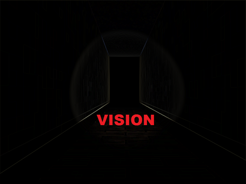 Vision