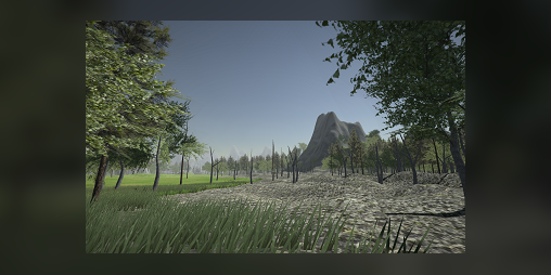 Cover image for A Place to Wander