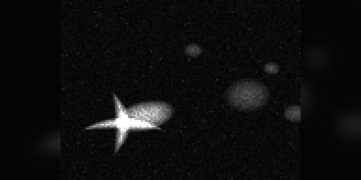 Cover image for Schutll Noise