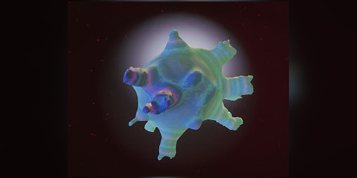 Cover image for Planetoids