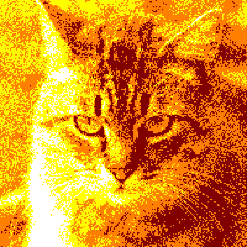 ginger cat in yellow orange palette on amstrad