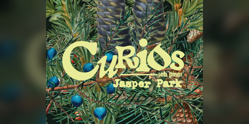 Cover image for Curios: Jasper Park