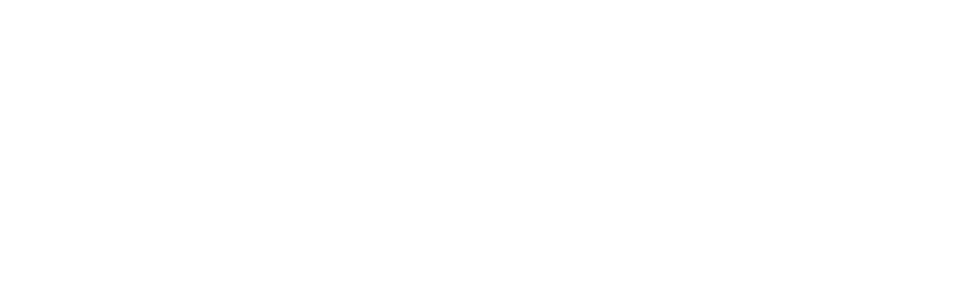 AIM SHOOT KILL
