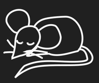 Little Mouse in the Night