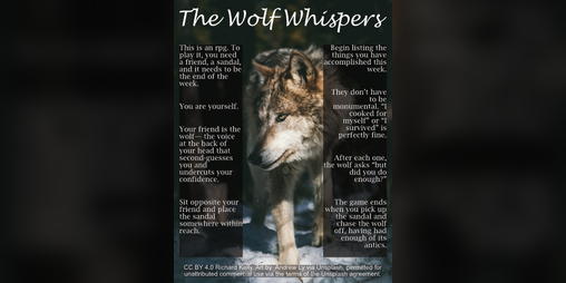 Cover image for The Wolf Whispers