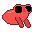 Cover image for Toadswing