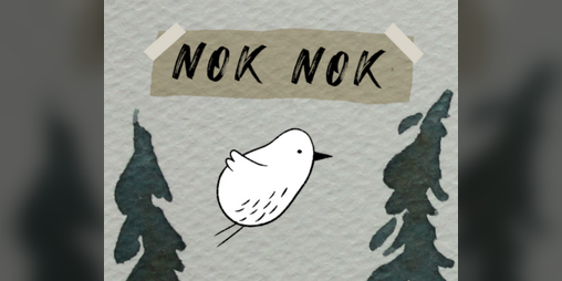 Cover image for Nok nok