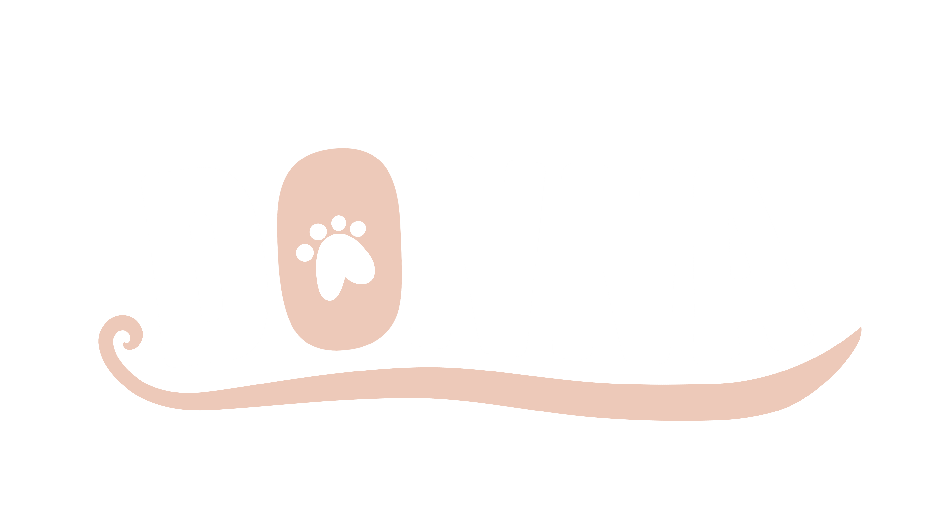 Donna (Español)