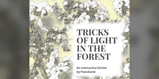 Cover image for Tricks of light in the forest