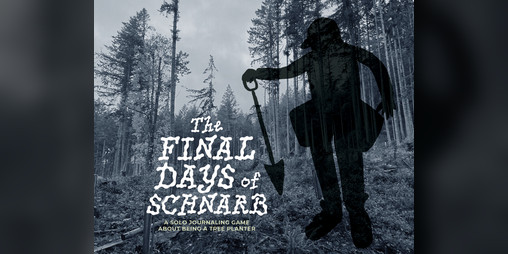 Cover image for The Final Days of Schnarb