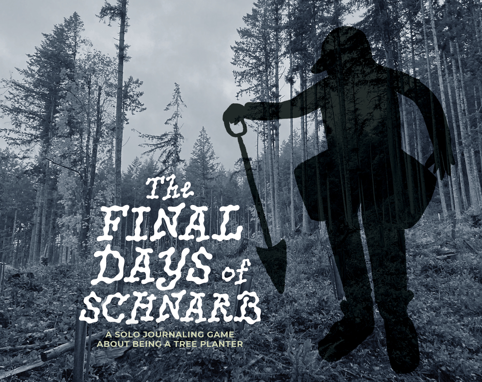Cover image for The Final Days of Schnarb