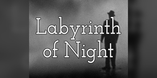 Cover image for Labyrinth of Night