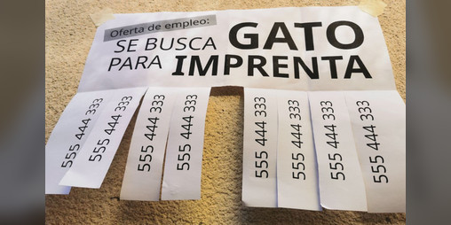 Cover image for Se busca GATO para IMPRENTA