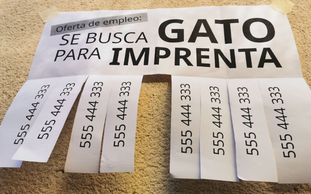 Cover image for Se busca GATO para IMPRENTA