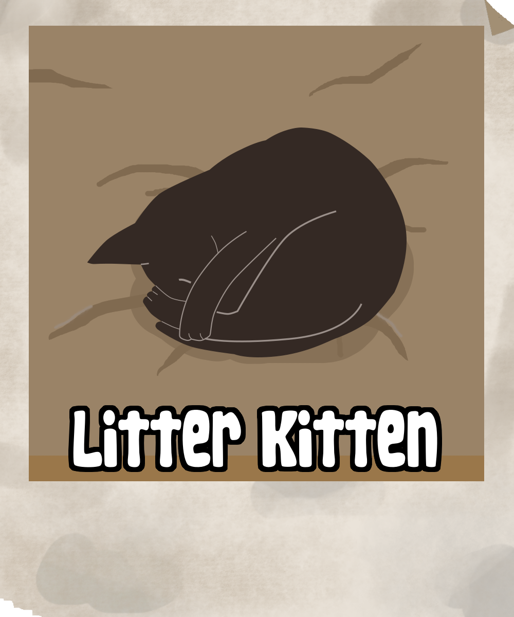 Cover image for Litter Kitten
